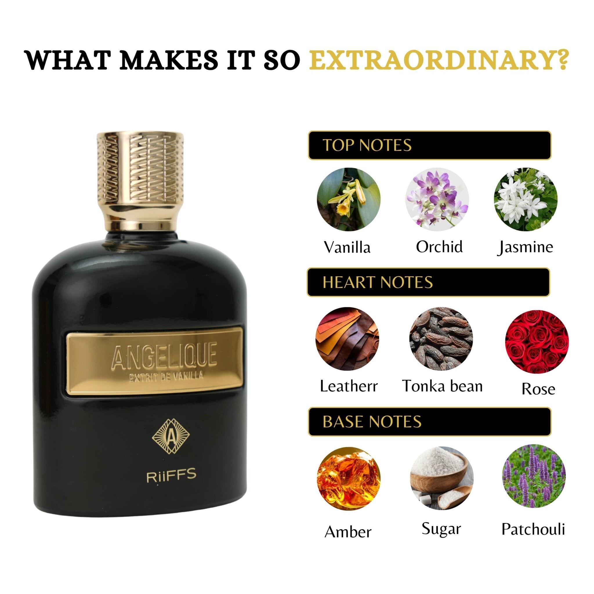 ANGELIQUE EXTRACT DE VANILLA