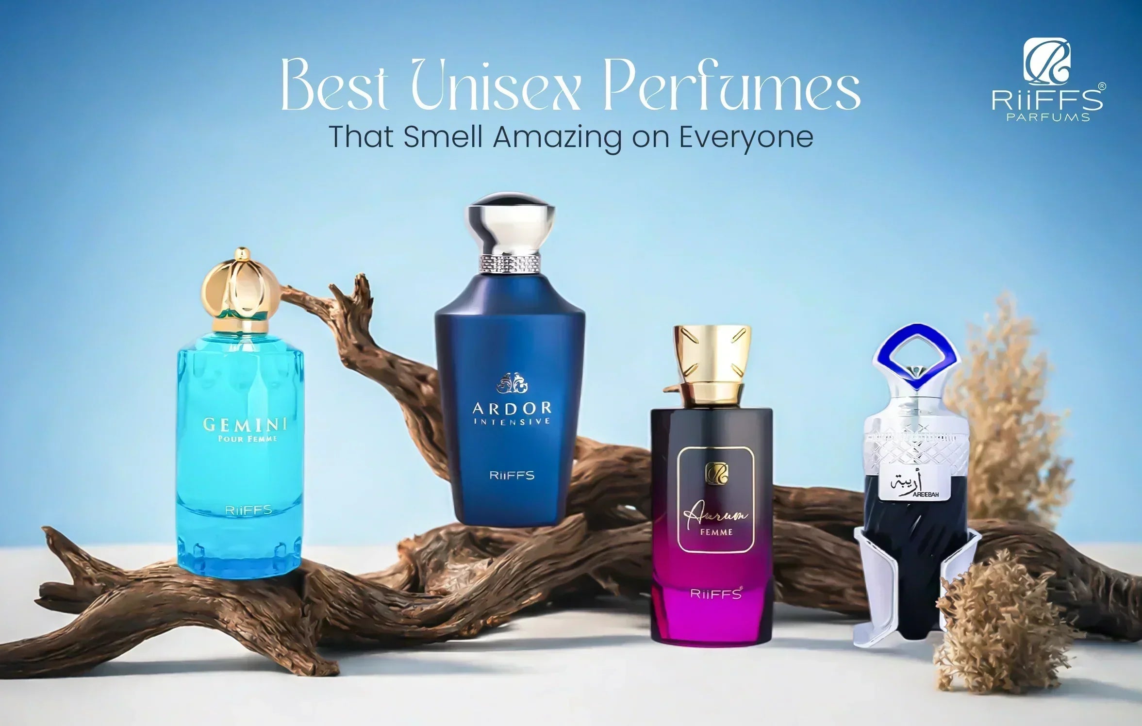 Top 12 Best Unisex Perfumes That Smell Amazing on Everyone