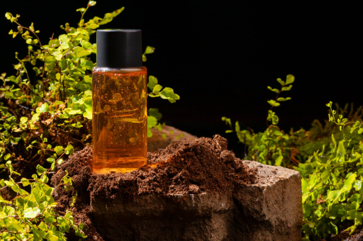 woody perfumes