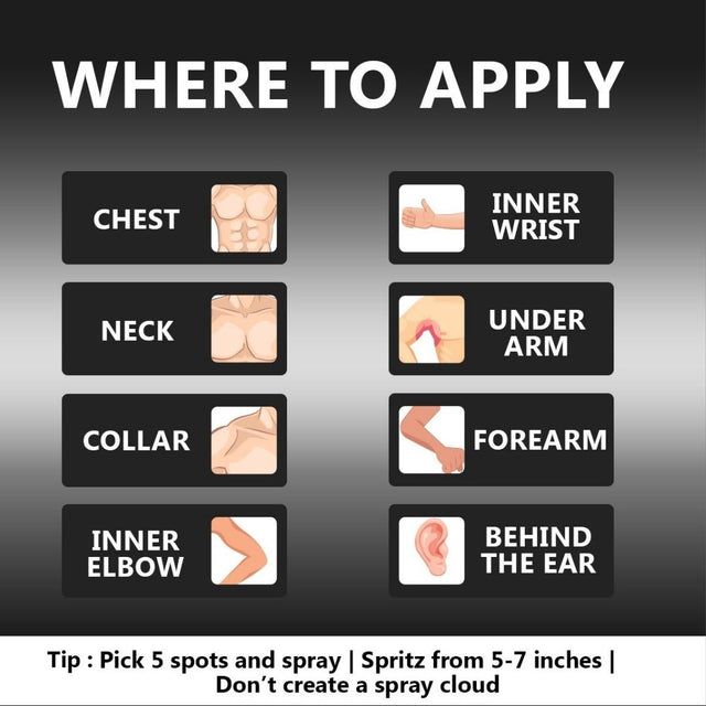 Rose de soleil eclat